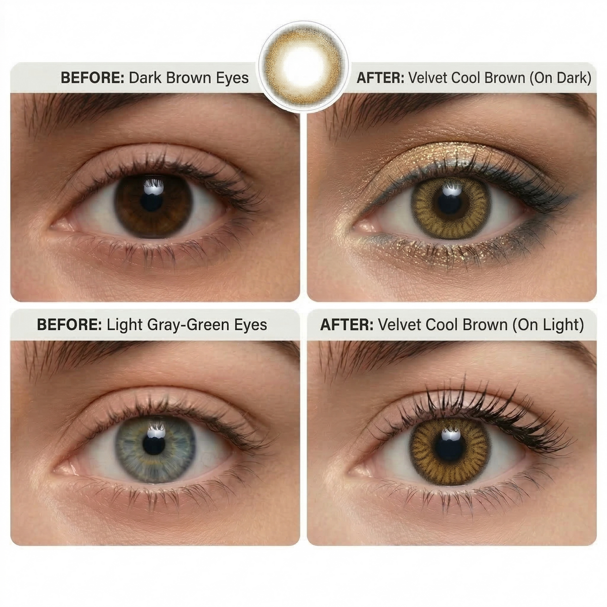 Velvet Cool Brown Daily (10 Lenses)