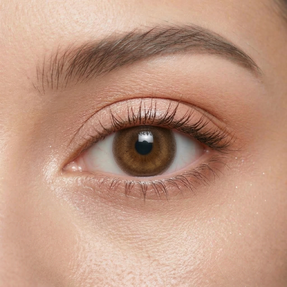 Angel Halo Brown - Monthly