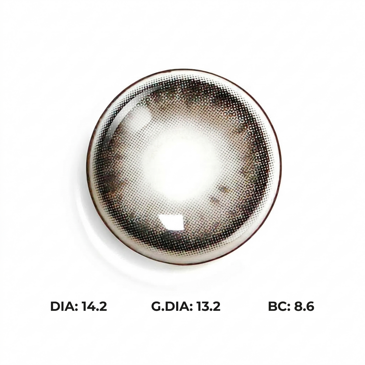 Mystic Realm Gray Daily (10 Lenses)