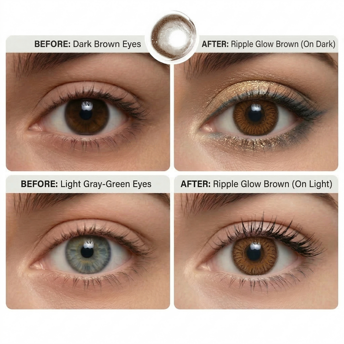 Ripple Glow Brown Daily (10 Lenses)