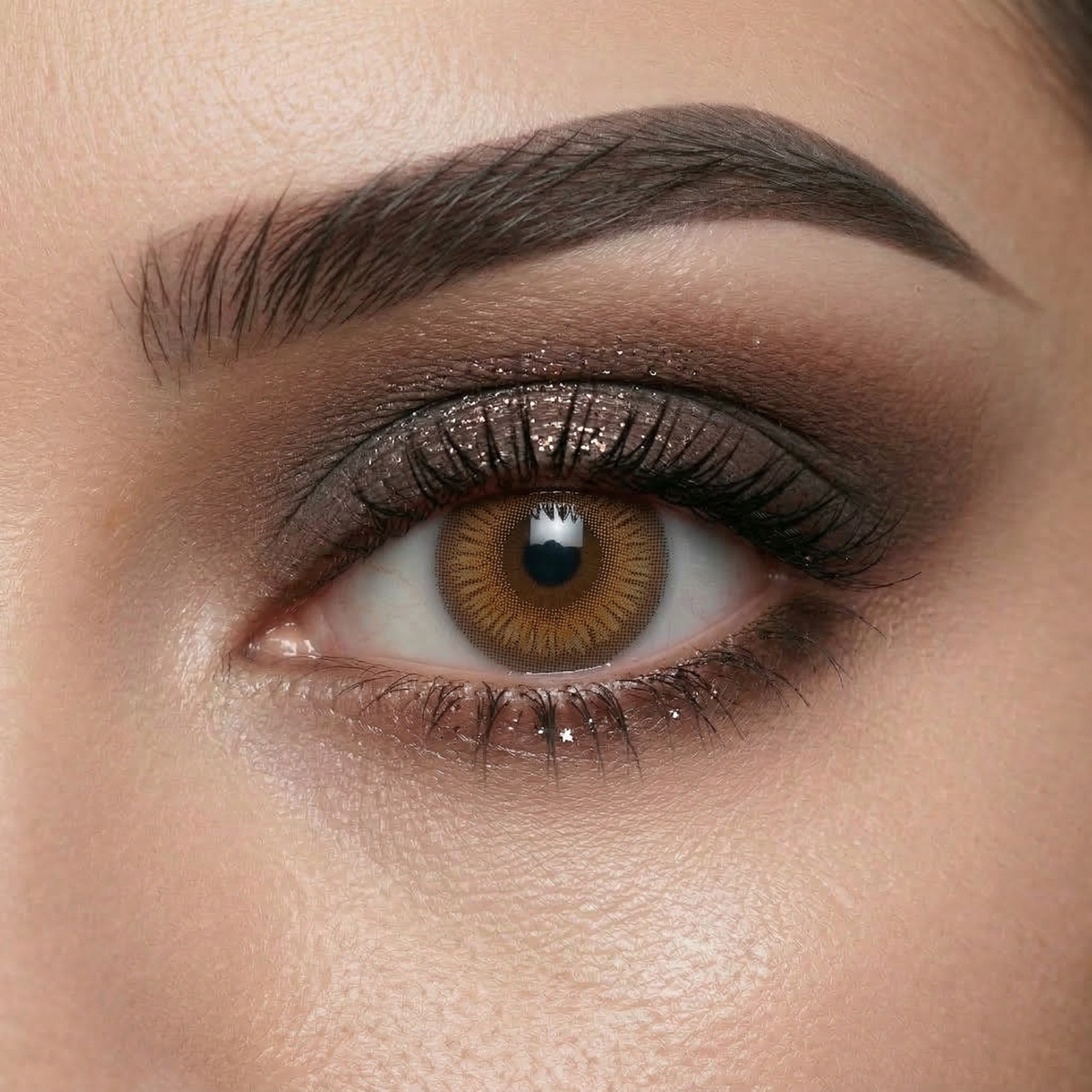 Dark Lord Brown Daily (10 Lenses)