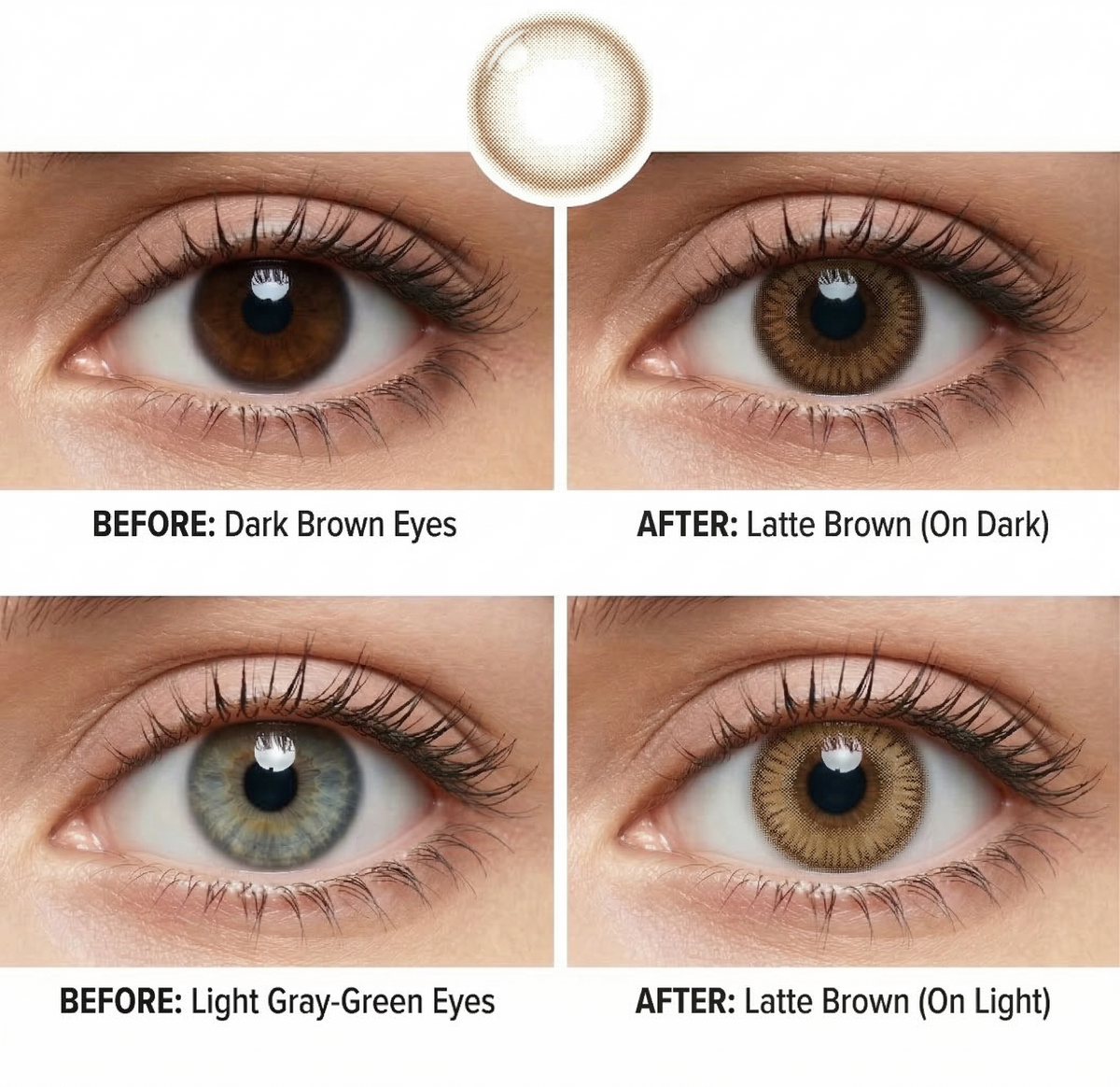 Latte Brown Daily (10 Lenses)