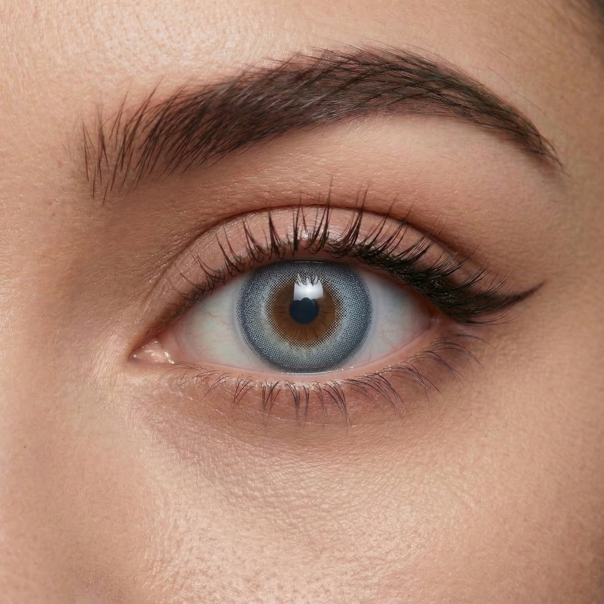 Blueberry Gem Blue Daily (10 Lenses)