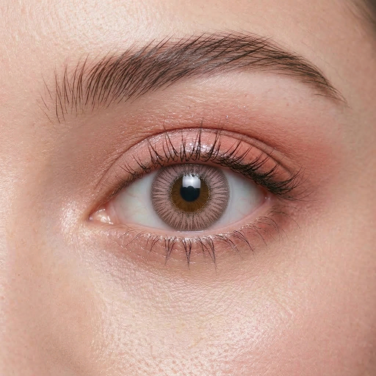 Blush Petal Pink Daily (10 Lenses)