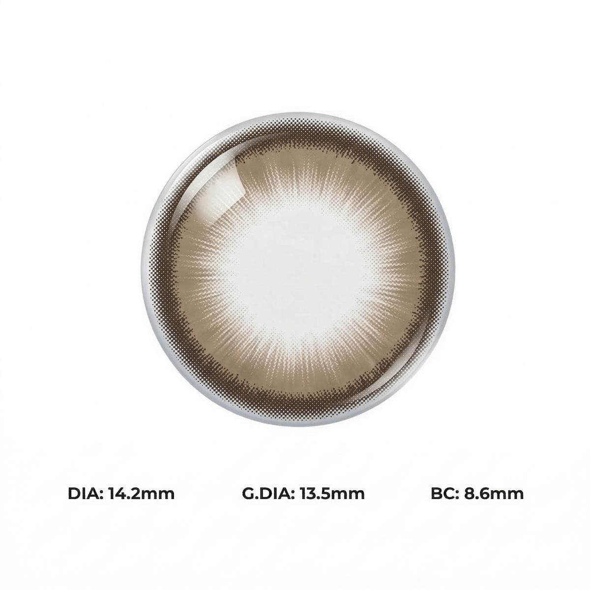 Luminous Brown Daily (10 Lenses)