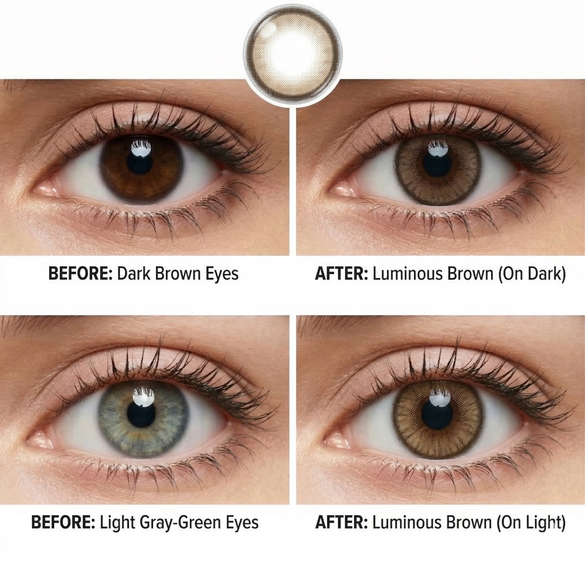 Luminous Brown Daily (10 Lenses)