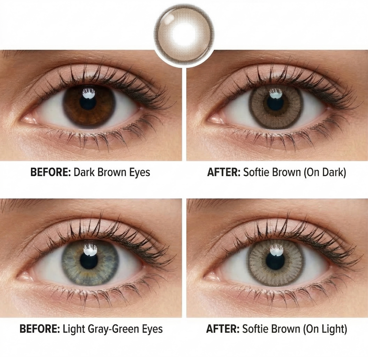 Softie Brown Daily (10 Lenses)