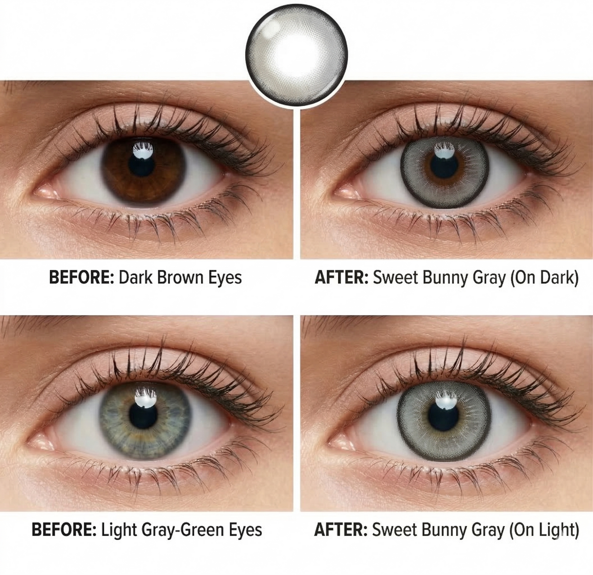 Sweet Bunny Gray Daily (10 Lenses)
