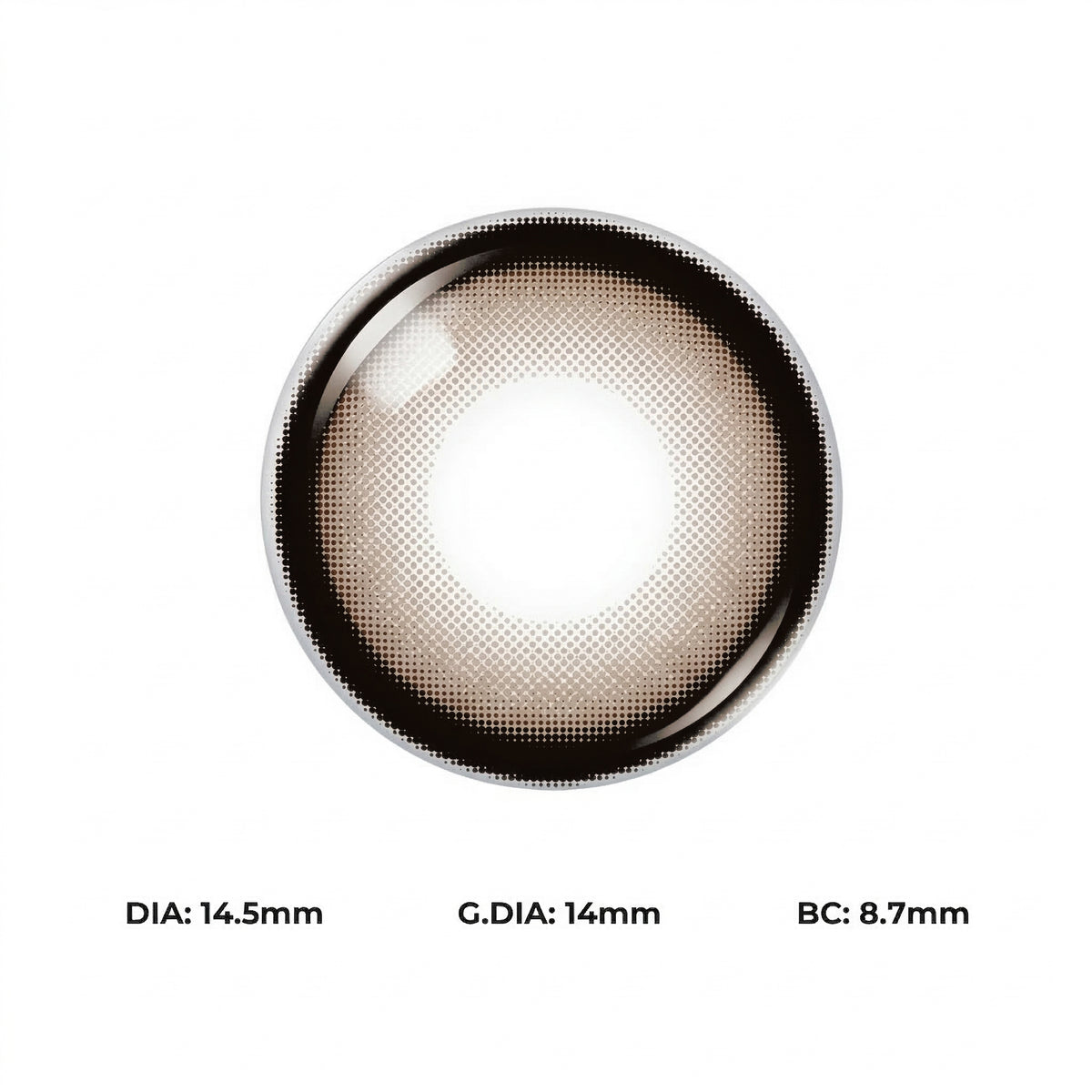 Piggy Brown Daily (10 Lenses)