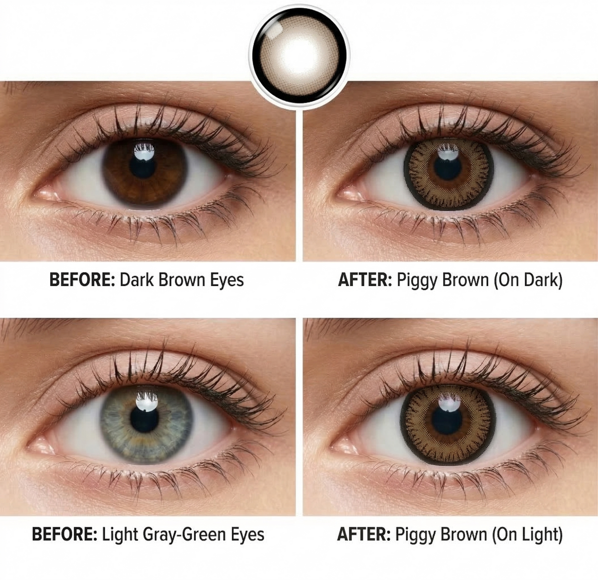 Piggy Brown Daily (10 Lenses)