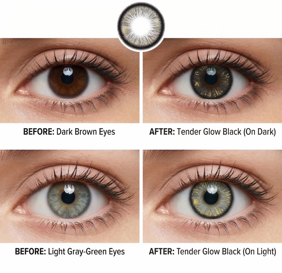 Tender Glow Black Daily (10 Lenses)
