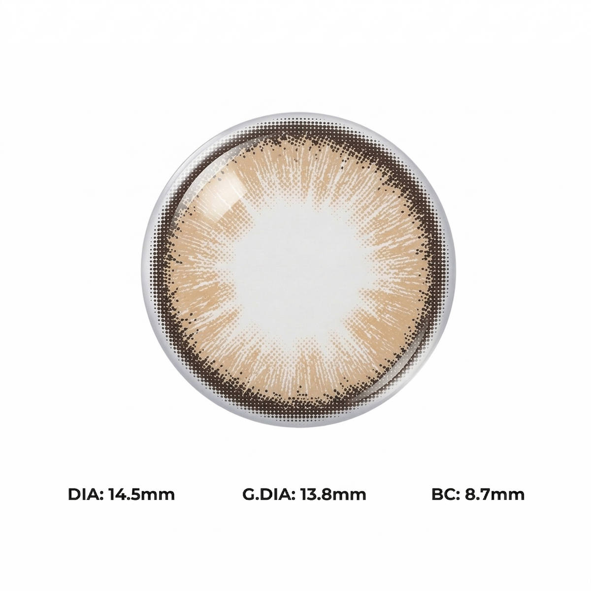 Pumpkin Brown Daily (10 Lenses)