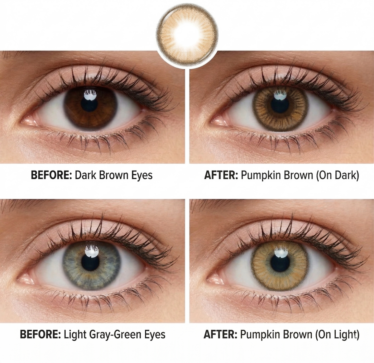 Pumpkin Brown Daily (10 Lenses)