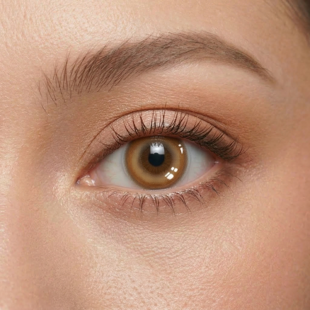 Creamy Cheesecake Brown Daily (10 Lenses)